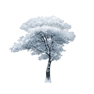 Дерево на карточке мероприятия